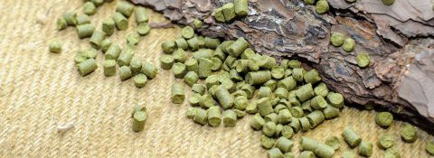 Our hops for your success