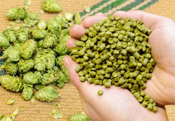 Hops products